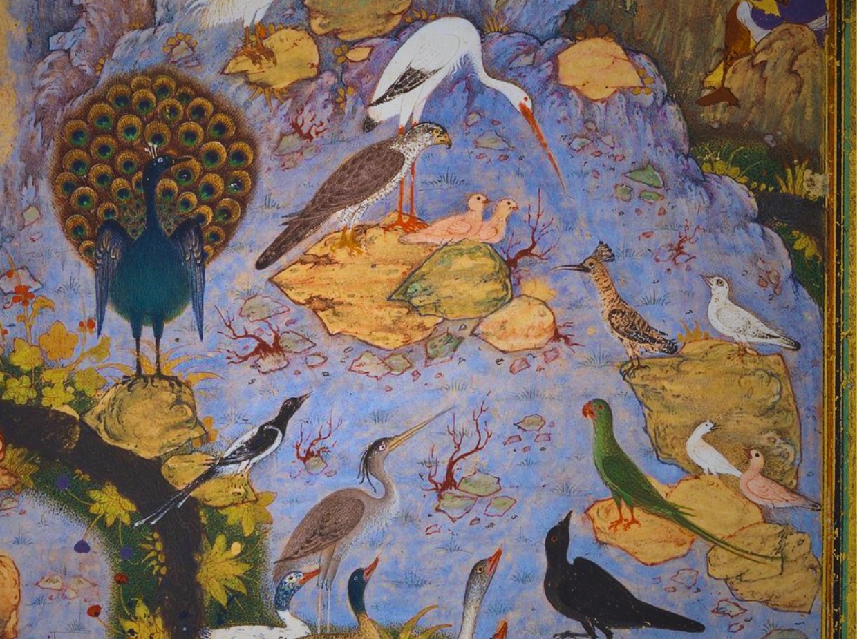 Confe%CC%81rence%20des%20oiseaux